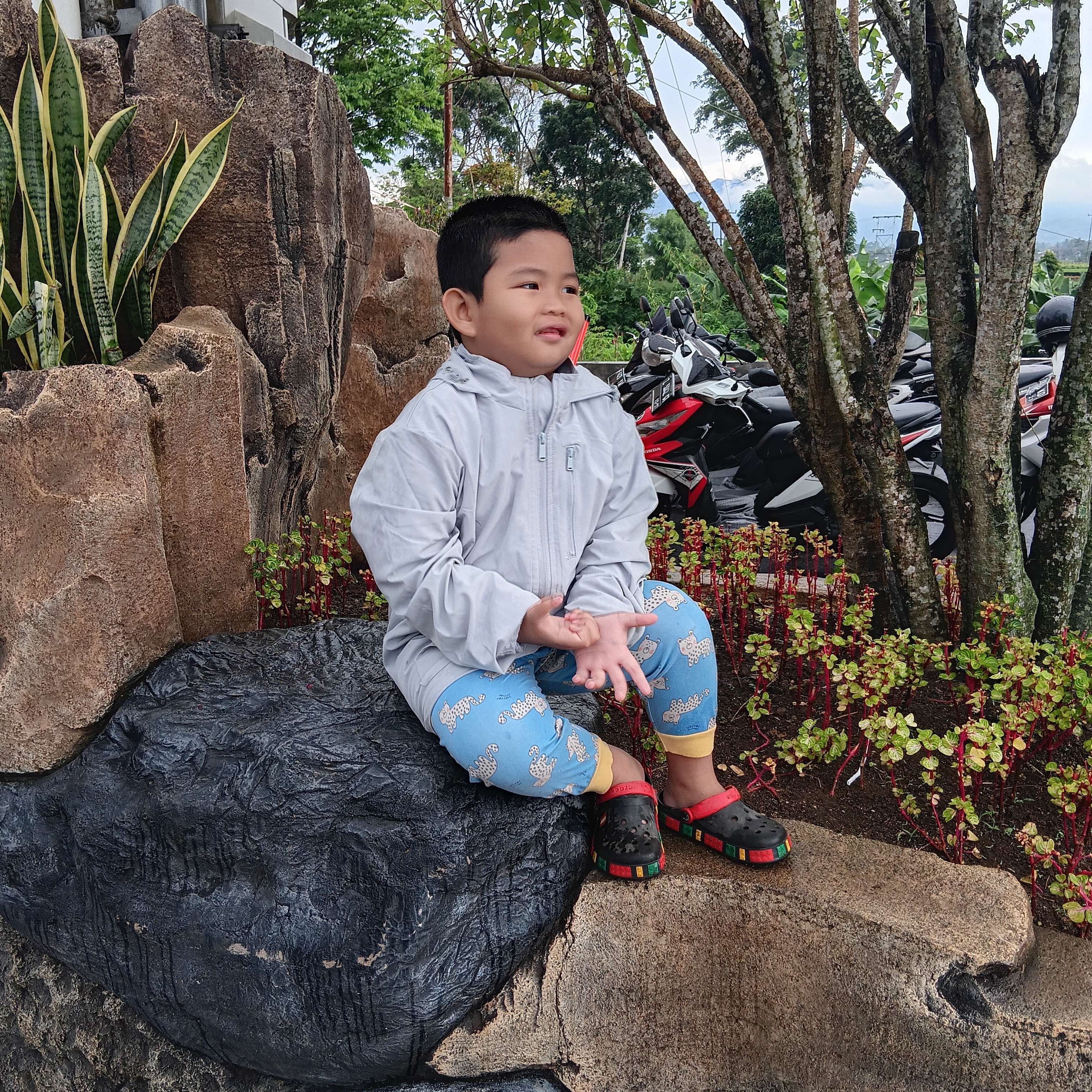 M. Aria wijayakusumah